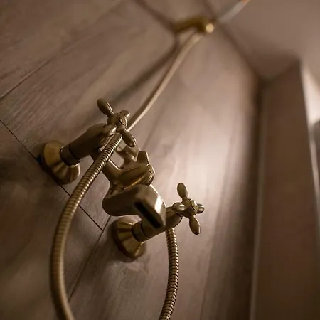 Tamara Luxury Apartment Bled